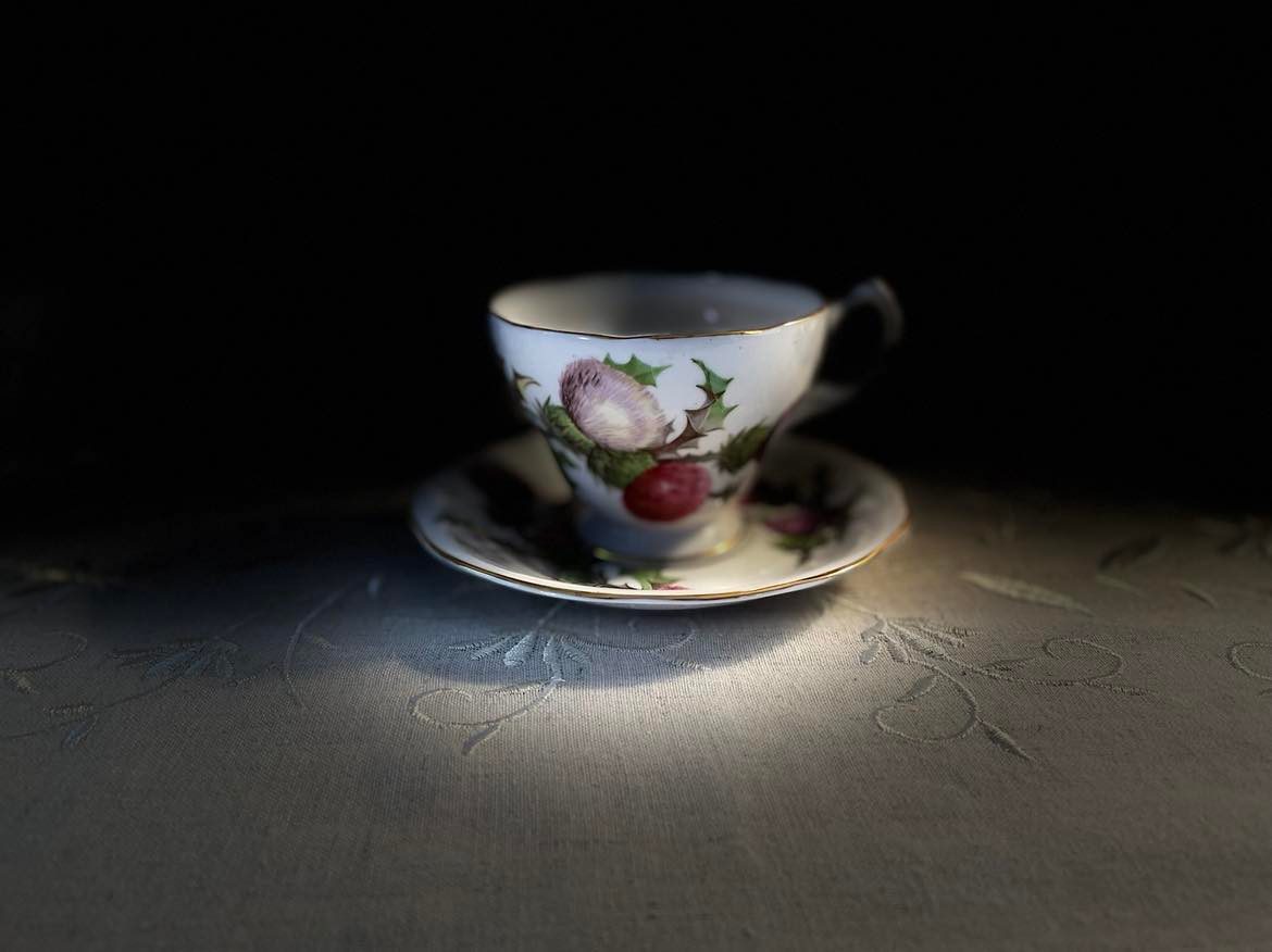 Queen Anne Blue Thistle Flower Teacup And Saucer