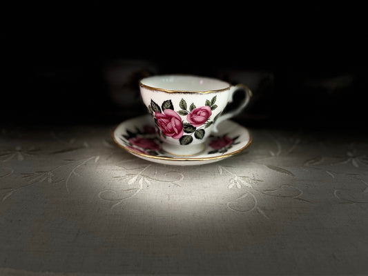 Vintage Salisbury Tea Cup & Saucer Set