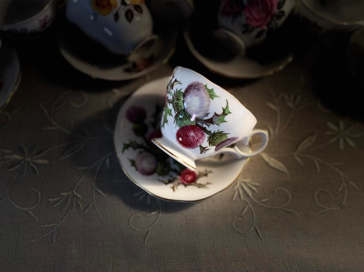 Queen Anne Blue Thistle Flower Teacup And Saucer